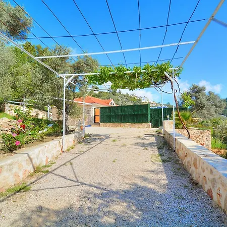 Private Araf Villa *