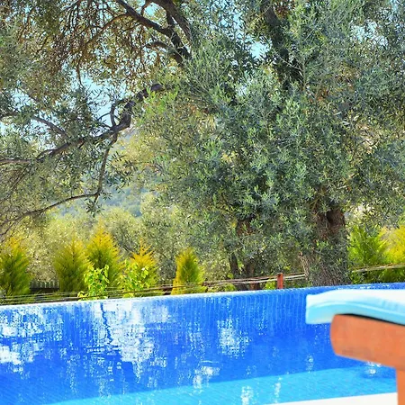 Private Araf Uzumlu (Mediterranean)